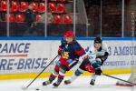 Photo hockey reportage U20 - Grenoble chute face  Gap