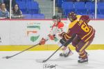 Photo hockey reportage Universitaires - Trois rivires vs Concordia