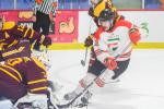 Photo hockey reportage Universitaires - Trois rivires vs Concordia