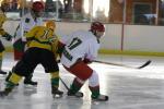 Photo hockey reportage Viry - Algrie en images