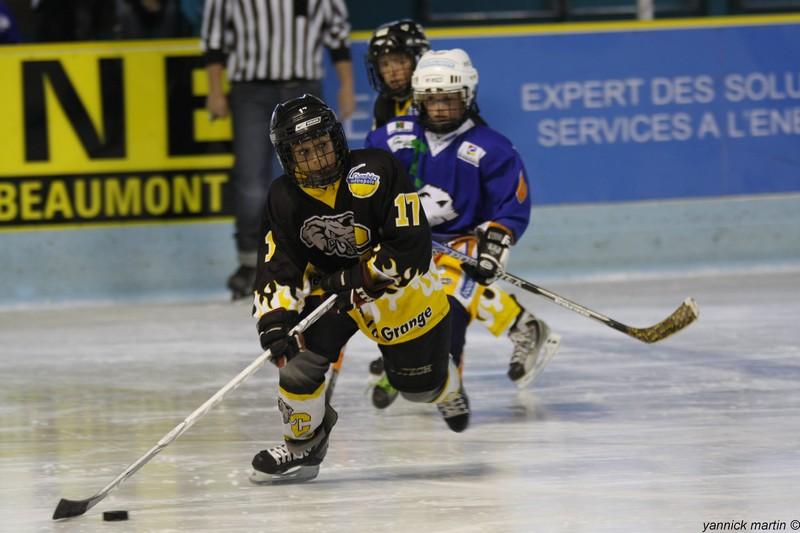 Photo hockey reportage Week-end charg pour les Marcassins du HCCA