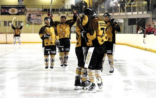 Photo hockey  - Division 3 : journées des 26 - 27 novembre 2016 : Dammarie-les-Lys vs Courbevoie  - Des buts et des peluches