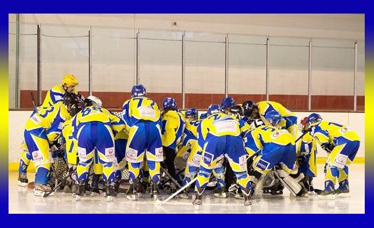 Photo hockey Autour du hockey - Autour du hockey : Toulon (Les Boucaniers) - Toulon : Fermeture définitive de la Patinoire ?