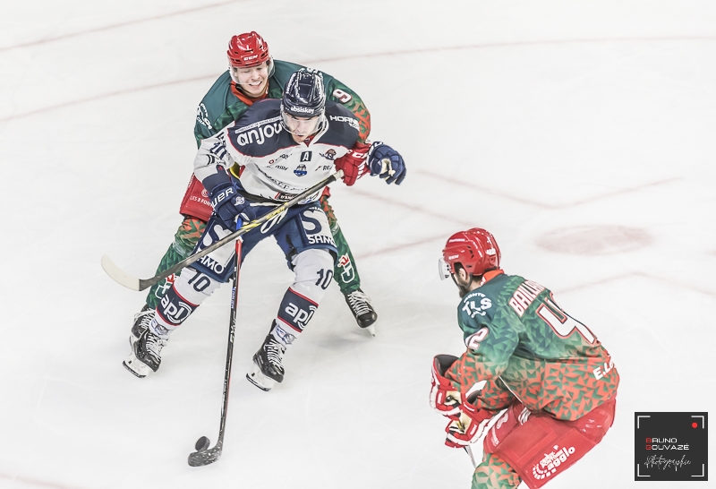 Photo hockey Coupe de France - Coupe de France - 1/4 Finale : Cergy-Pontoise vs Angers  - CDF : Les Ducs s’envolent pour la demi-finale