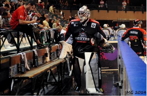 Photo hockey Coupe de France - Coupe de France 1/8èmes de finale : Angers  vs Bordeaux - Les Boxers aboient, la Coupe de France passe