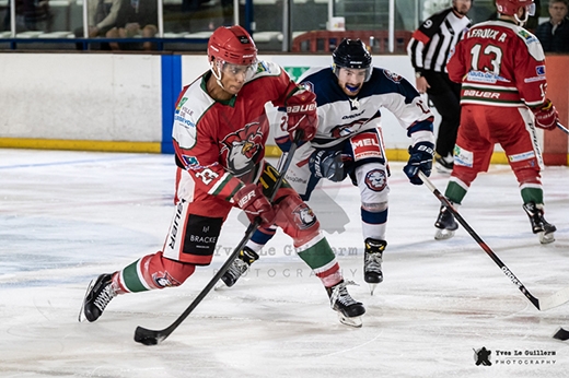 Photo hockey Coupe de France - Coupe de France 16ème de Finale : Courbevoie  vs Wasquehal Lille - Les Lions dévorent les Coqs