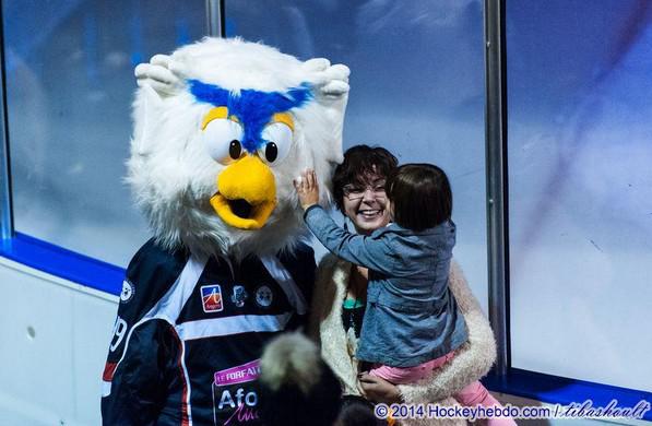 Photo hockey Coupe de la Ligue ARCHIVES - Coupe de la Ligue : 1/8ème, 6ème journée : Angers  vs Bordeaux - Au Haras, le Boxer aboie mais ne mord pas