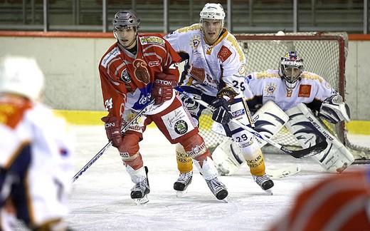 Photo hockey Division 1 - D1 - 10ème journée : Annecy vs Montpellier  - Communiqué de presse et photos