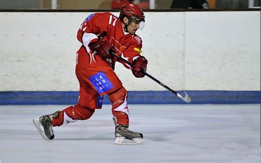 Photo hockey Division 1 - D1 - 22ème journée : Valence vs Garges-lès-Gonesse - Reportage photos