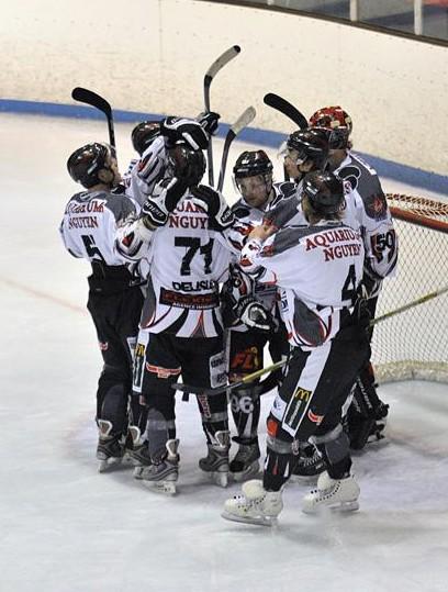 Photo hockey Division 1 - D1 : 24ème journée : Valence vs Mulhouse - Et de 7 !