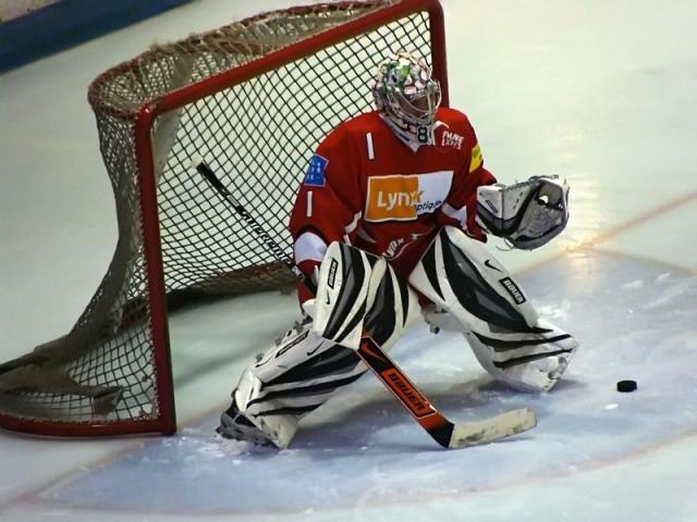 Photo hockey Division 1 - D1 : 7ème journée : Valence vs Caen  - L’Armada normande de retour