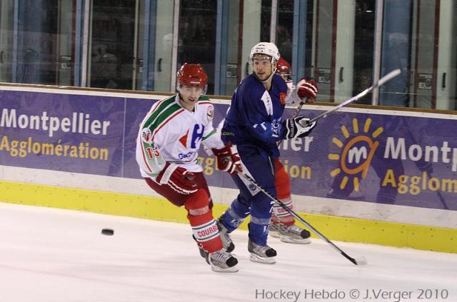 Photo hockey Division 1 - D1 : 9ème journée : Montpellier  vs Courbevoie  - Les Vipers reprennent des couleurs !