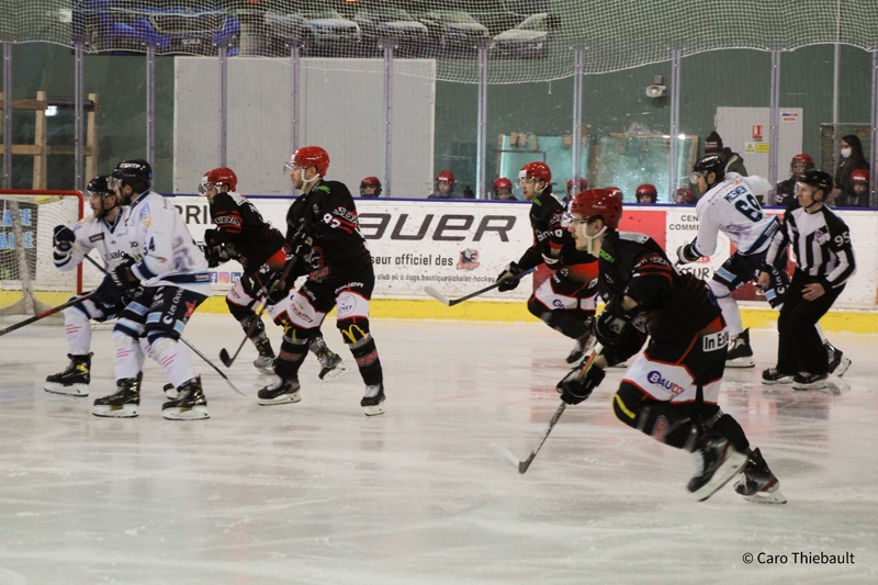 Photo hockey Division 1 - Division 1 : 11ème journée : Cholet  vs Tours  - Les Dogs passent les Remparts