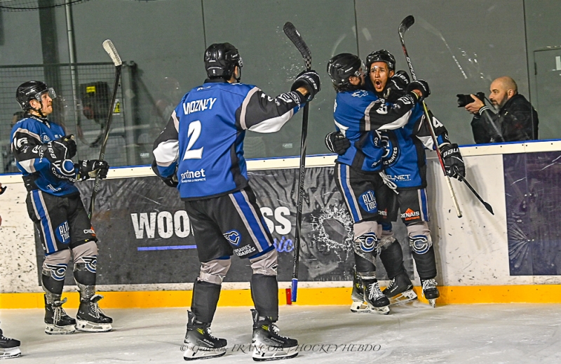 Photo hockey Division 1 - Division 1 : 11ème journée : Nantes vs Cholet  - Nantes renverse le leader choletais