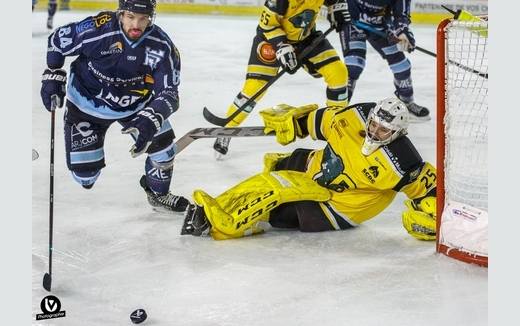 Photo hockey Division 1 - Division 1 : 12ème journée : Tours  vs Chambéry - Tours s