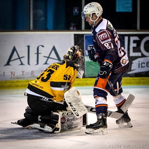 Photo hockey Division 1 - Division 1 : 16ème journée : Montpellier  vs Strasbourg  - Division 1 - J16 : Montpellier - Strasbourg