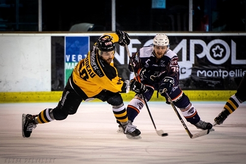 Photo hockey Division 1 - Division 1 : 16ème journée : Montpellier  vs Strasbourg  - Division 1 - J16 : Montpellier - Strasbourg