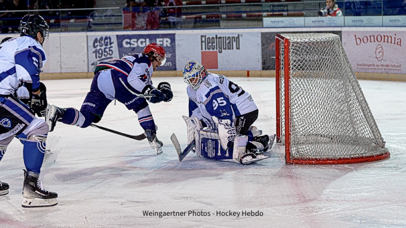 Photo hockey Division 1 - Division 1 : 1ère journée : Lyon vs Nantes - Entrée fracassante des Lions : Lyon rugit d’emblée face à Nantes
