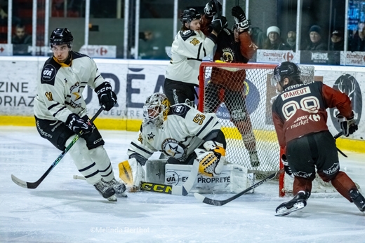 Photo hockey Division 1 - Division 1 : 20ème journée : Morzine-Avoriaz vs Strasbourg  - L