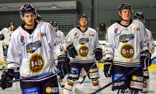 Photo hockey Division 1 - Division 1 : 21ème journée : Cergy-Pontoise vs Brest  - Les Albatros emportés par la marée verte