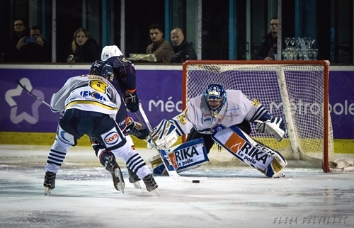 Photo hockey Division 1 - Division 1 : 23ème journée : Montpellier  vs Dunkerque - Montpellier – Dunkerque 