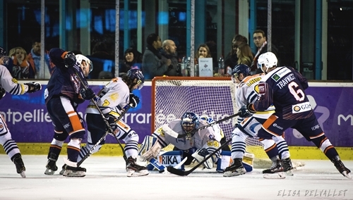 Photo hockey Division 1 - Division 1 : 23ème journée : Montpellier  vs Dunkerque - Montpellier – Dunkerque 