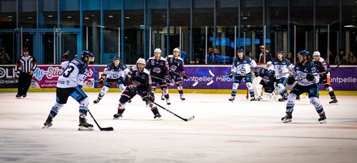Photo hockey Division 1 - Division 1 : 25ème journée : Montpellier  vs Marseille - J25 : Montpellier - Marseille