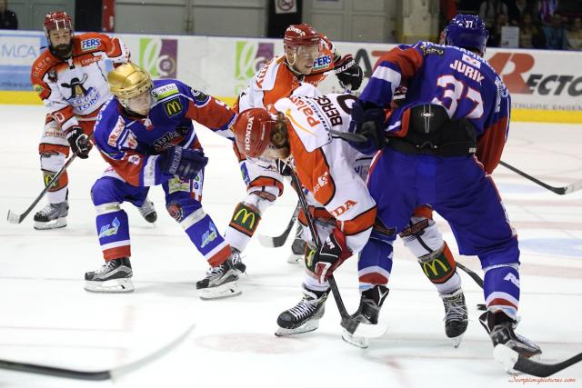 Photo hockey Division 1 - Division 1 : 3ème journée : Mulhouse vs Cholet  - Les Dogs ont montré les crocs