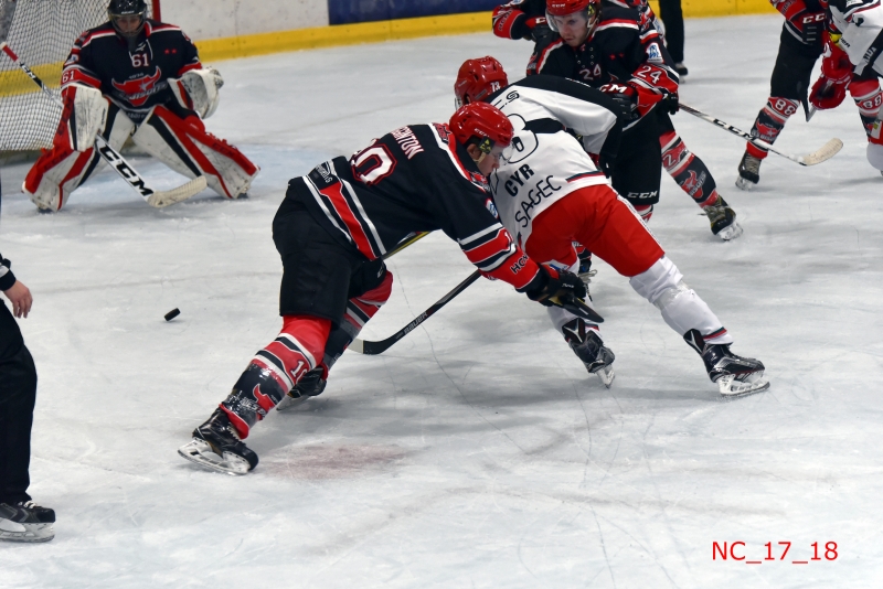 Photo hockey Division 1 - Division 1 : 3ème journée : Neuilly/Marne vs Anglet - Anglet a du s