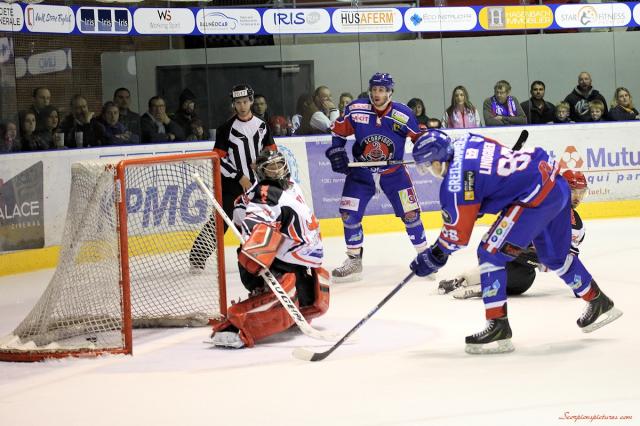 Photo hockey Division 1 - Division 1 : 6ème journée : Mulhouse vs Neuilly/Marne - Mulhouse dévore les Bisons