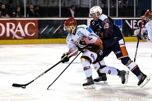 Photo hockey Division 1 - Division 1 : 8ème journée : Montpellier  vs Cholet  - D1 - Montpellier ne confirme pas face à Cholet