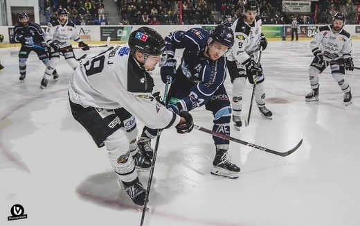 Photo hockey Division 1 - Division 1 : 9ème journée : Tours  vs Brest  - Victoire de Tours vs Brest