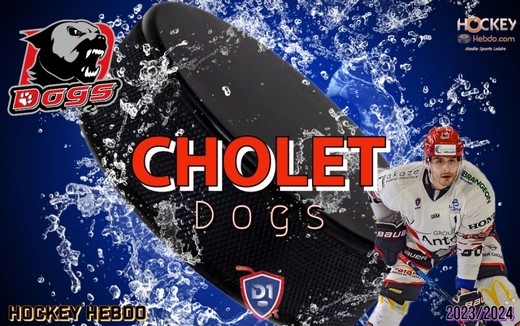 Photo hockey Division 1 - Division 1 - Cholet mise sur la jeunesse et la stabilité