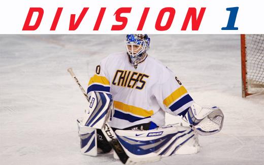 Photo hockey Division 1 - Division 1 - D1 : Présentation de la 14ème journée