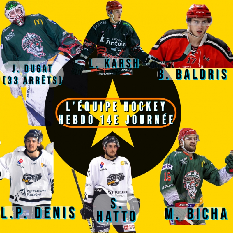 Photo hockey Division 1 - Division 1 - Division 1 - L’équipe Type de la 14e Journée