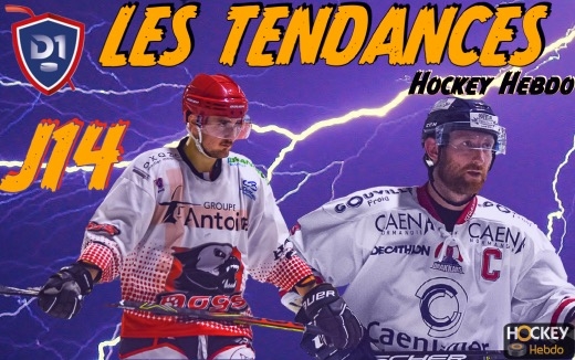 Photo hockey Division 1 - Division 1 - Division 1 - Les Tendances de la 14ème Journée