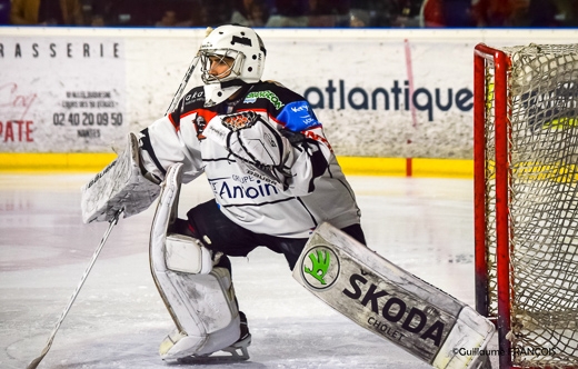 Photo hockey Division 1 - Division 1 - Division 1- Présentation: Cholet