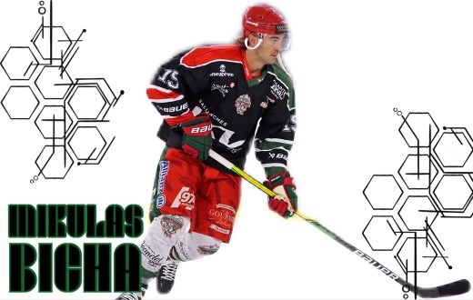 Photo hockey Division 1 - Division 1 - L’objectif de Mont-Blanc: rester au sommet de la D1 