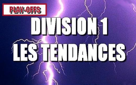 Photo hockey Division 1 - Division 1 - Les tendances - Edition spéciale 1/2 finales