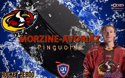 Photo hockey Division 1 - Division 1 - Morzine-Avoriaz paré pour s’affirmer en D1