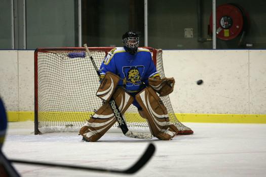 Photo hockey Division 2 - D2 : 13ème journée - B : Wasquehal Lille vs Clermont-Ferrand - La revanche de Wasquehal