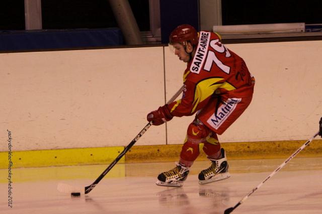 Photo hockey Division 2 - D2 : 15ème journée - B : Orléans vs Wasquehal Lille - Orléans confirme