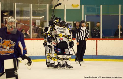 Photo hockey Division 2 - D2 : 7ème journée - A : Avignon vs Roanne - Les Castors n