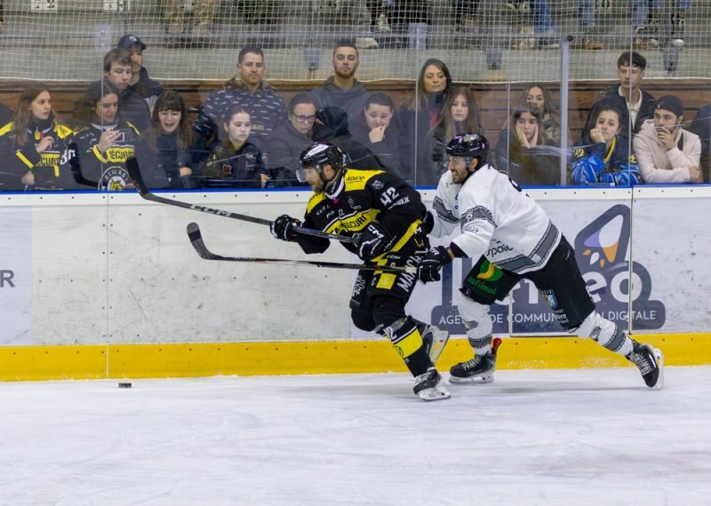 Photo hockey Division 2 - Division 2 - 1/4 de Finale - Match 1 : Roanne vs Brest  - Roanne gagne la première manche