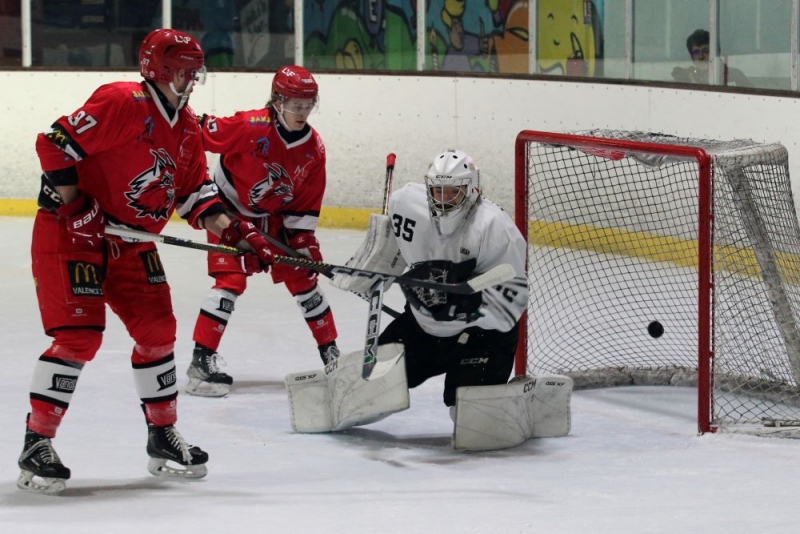 Photo hockey Division 2 - Division 2 - 1/4 de Finale - Match 1 : Valence vs Toulouse-Blagnac - Demi-succès vers les « demi » pour Toulouse