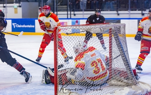 Photo hockey Division 2 - Division 2 - 1/8 de Finale - Match 2 : Toulouse-Blagnac vs Orléans - Reportage Photos - Toulouse vs Orléans !