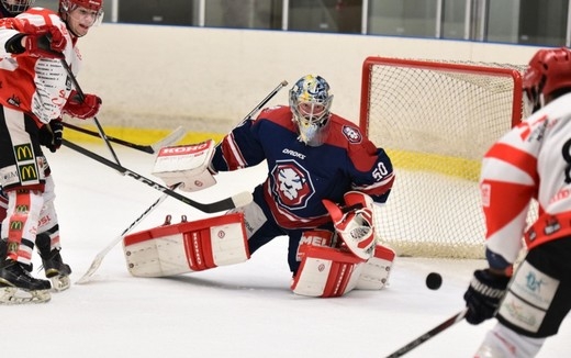 Photo hockey Division 2 - Division 2 : 10ème journée : Wasquehal Lille vs Amnéville - Reportage photos
