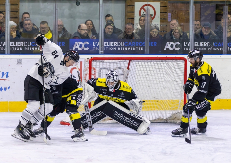 Photo hockey Division 2 - Division 2 : 12ème journée : Roanne vs Toulouse-Blagnac - Les Renards tombent dans le piège des Bélougas