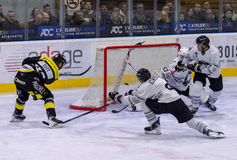 Photo hockey Division 2 - Division 2 : 12ème journée : Roanne vs Toulouse-Blagnac - Les Renards tombent dans le piège des Bélougas