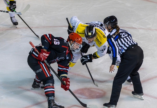 Photo hockey Division 2 - Division 2 : 13ème journée : Annecy vs Roanne - Les Chevaliers du lac frappent fort